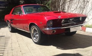 FORD MUSTANG 289