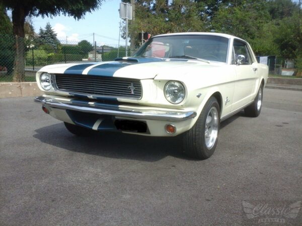 FORD MUSTANG 289 SHELBY 1966 [GROUPE 1 TRIBUTE]