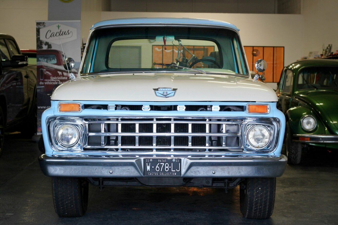 F100 FORD-1965