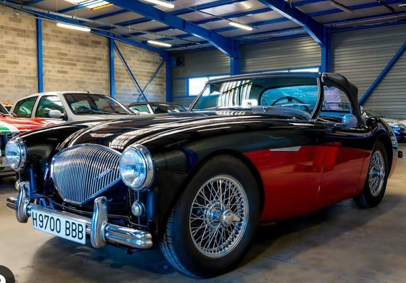 AUSTIN HEALEY 100/4 BN2 1956